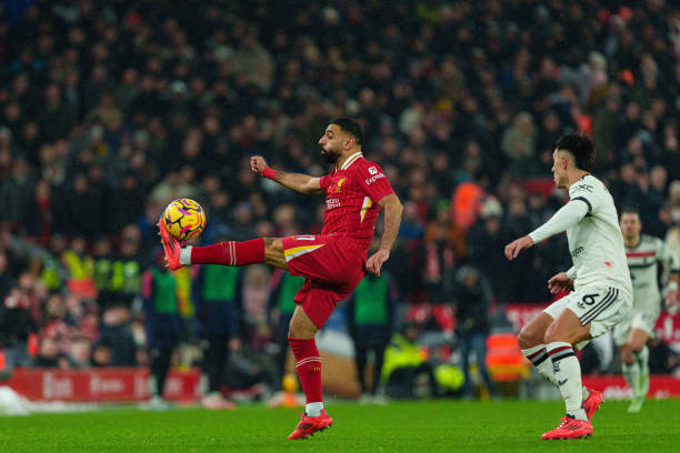 在不显山不 在不显山不